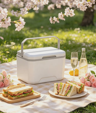 Draagbare Camping Koelbox 5L met Handvat - Geïsoleerd en Lekvrij