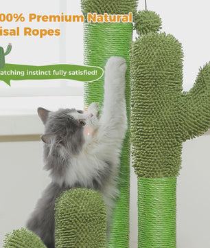Cactus Krabpaal XL voor Katten - 3 Sisal Palen & Speelbal