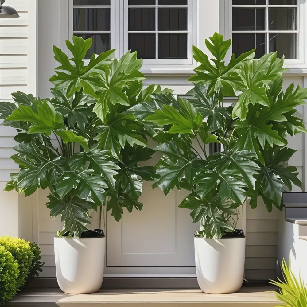 Kunstplant Papayablad - 65cm Kunstmatige Jungle Palmboom voor Huis, Tuin & Feestdecoratie
