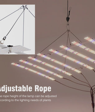 Full Spectrum LED Groeilamp 100W-200W Dimbare Plantlamp voor Groenten en Bloemen