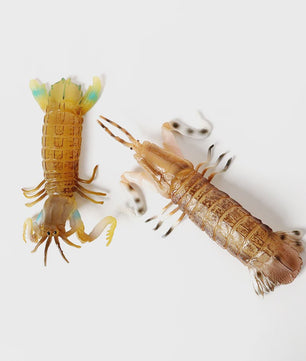 Educatieve Prehistorische Zeedieren Figuren Set: Baculite, Opabinia, Krab & Meer