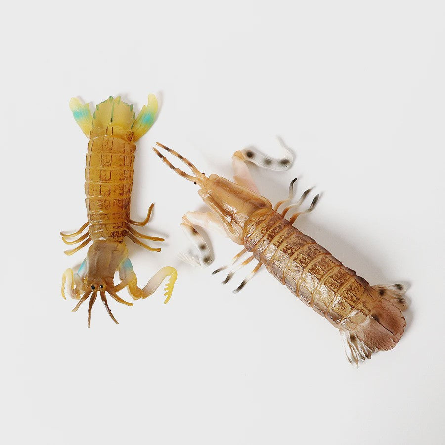 Educatieve Prehistorische Zeedieren Figuren Set: Baculite, Opabinia, Krab & Meer