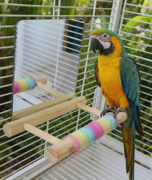 Vogel Speeltoren met Spiegel en Jute Touw - Klimmen, Kauwen & Pootverzorging voor Papegaaien