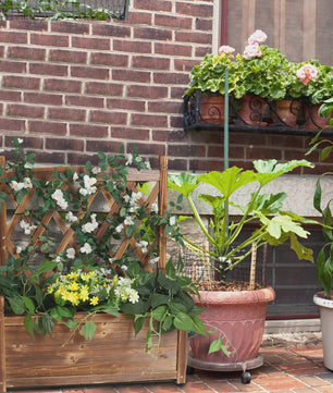 Houten Verhoogde Bloembak met Klimrek - Ideaal voor Groenten en Klimplanten