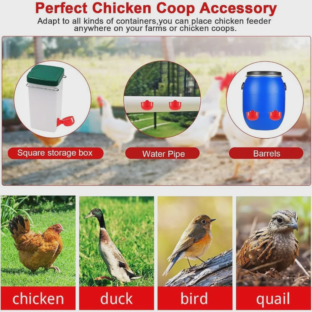 Automatische Drinkbakjes voor Kippen en Watervogels - Set van 10