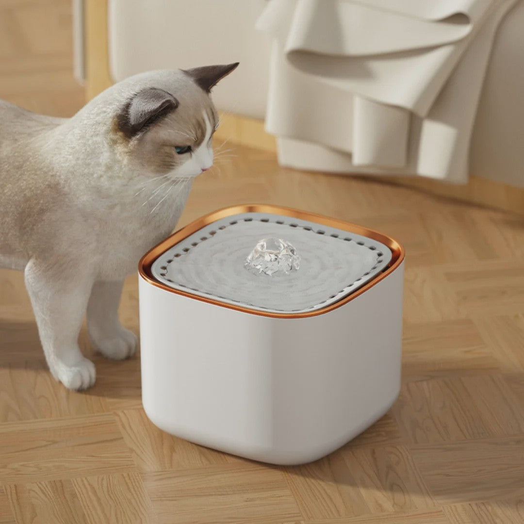 Stille Automatische Drinkfontein voor Katten & Honden met 4-weg Filtersysteem en Grote Tank