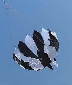 Grote Regenboog Vlieger - Nylon Parachute Vlieger voor Professioneel Vliegeren