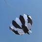Grote Regenboog Vlieger - Nylon Parachute Vlieger voor Professioneel Vliegeren