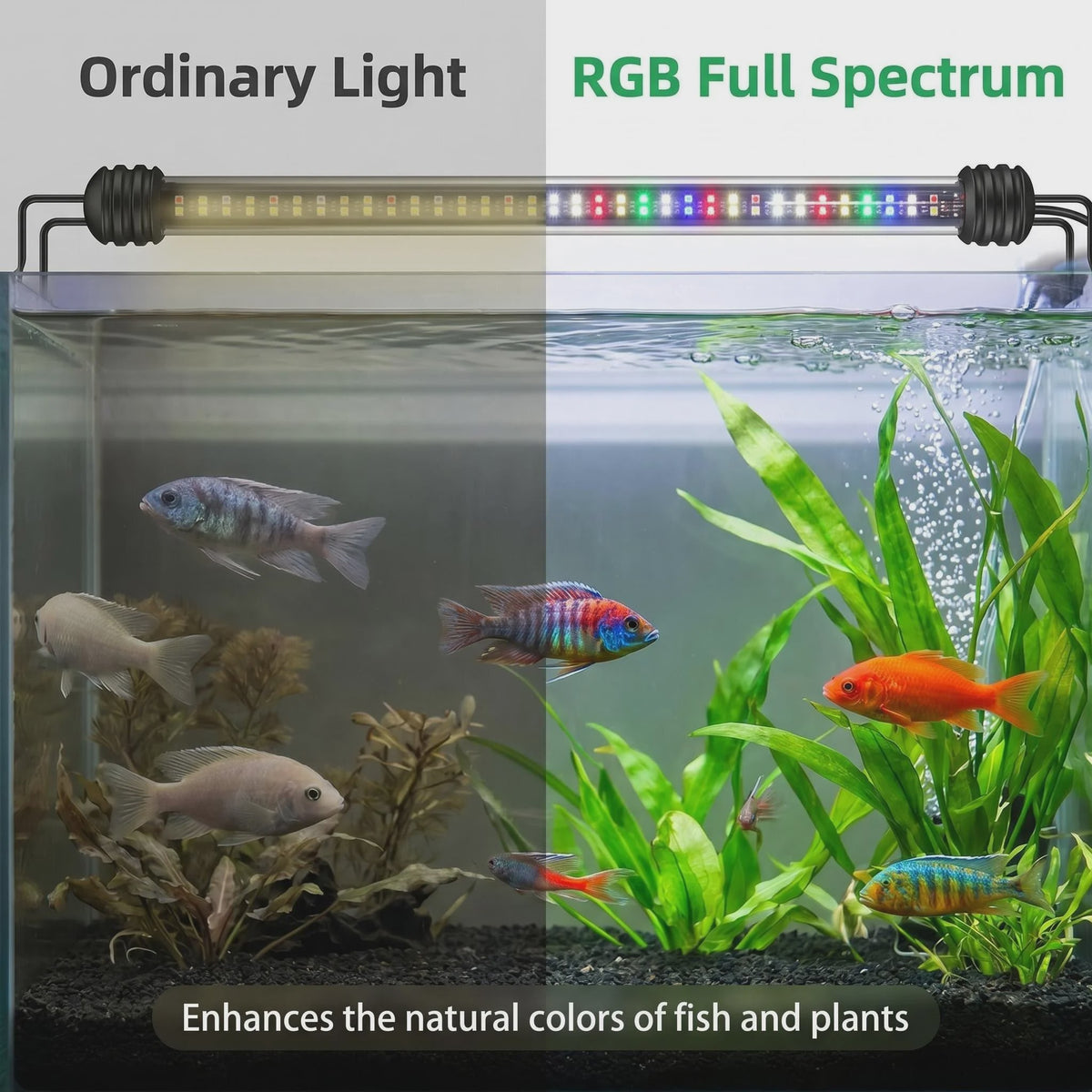 LED Aquarium Verlichting met RGBW Kleuren, Timer & Dimbaar
