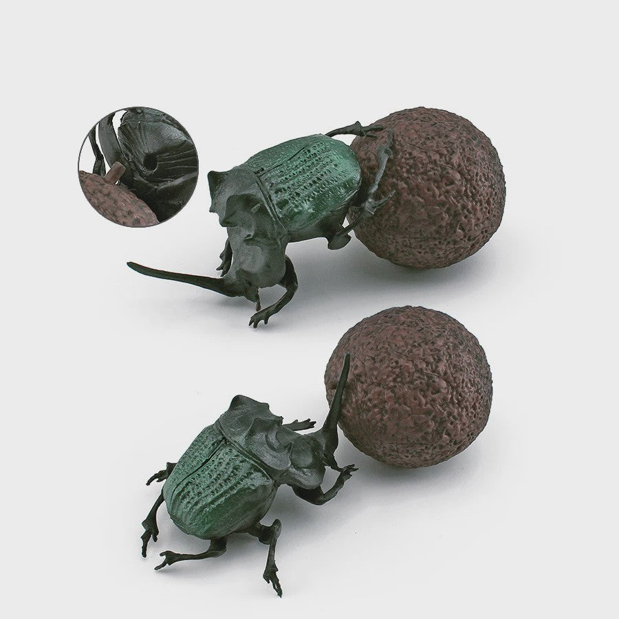 Realistische Insecten & Slakken Modellen - Educatief Speelgoed, Verzamelen & Decoratie