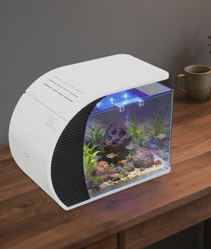 Moderne Glazen Aquarium Set met LED Verlichting en Filterpomp - 19L