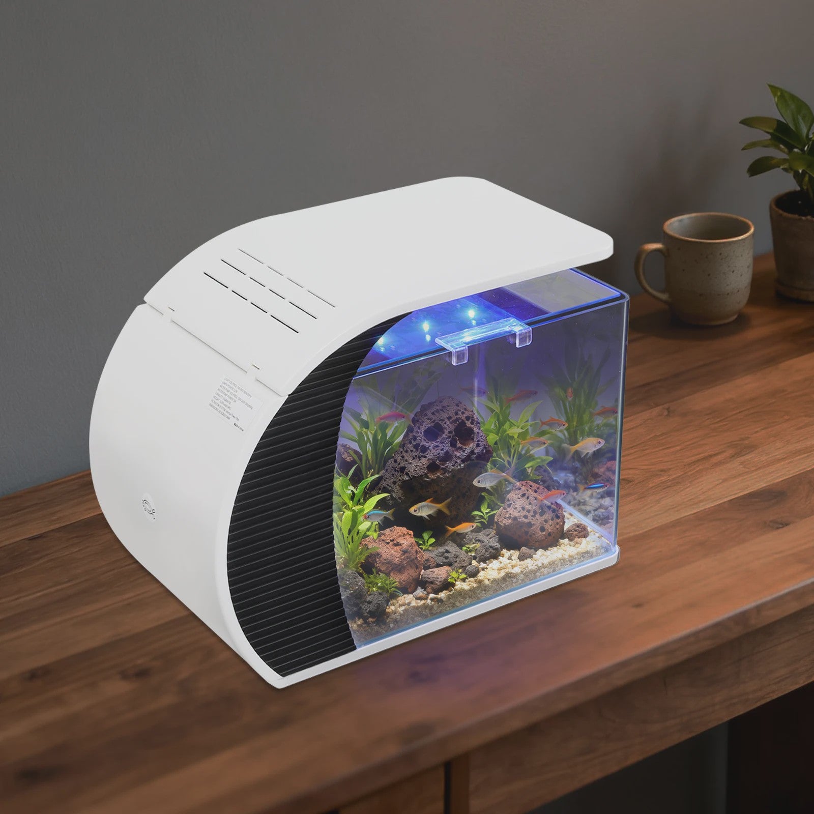 Moderne Glazen Aquarium Set met LED Verlichting en Filterpomp - 19L