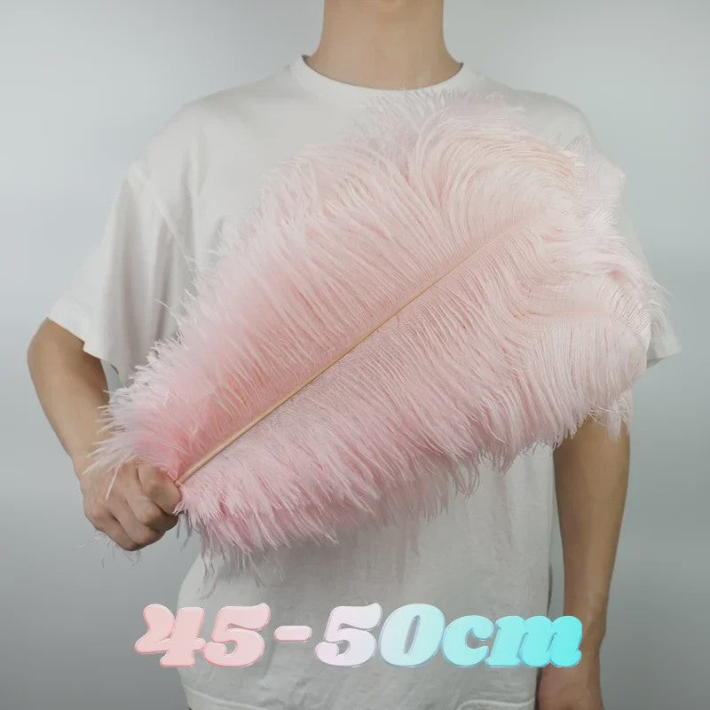 Set van 10 Gekleurde Struisvogelveren voor Knutselen, Decoratie en Feesten