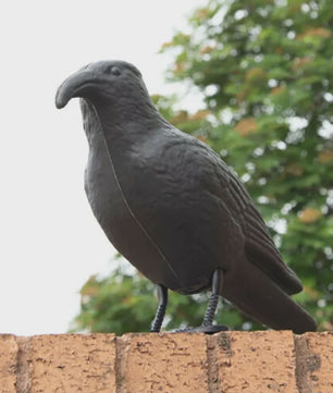 Realistische Zwarte Kraai Decoratie & Vogelverschrikker - Tuin & Buiten
