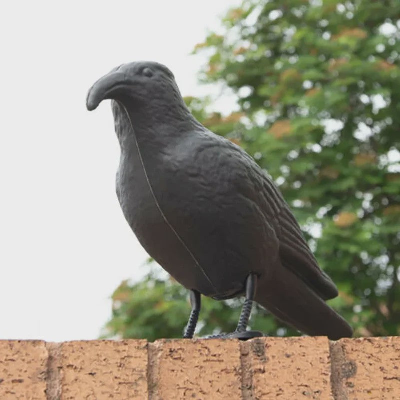 Realistische Zwarte Kraai Decoratie & Vogelverschrikker - Tuin & Buiten