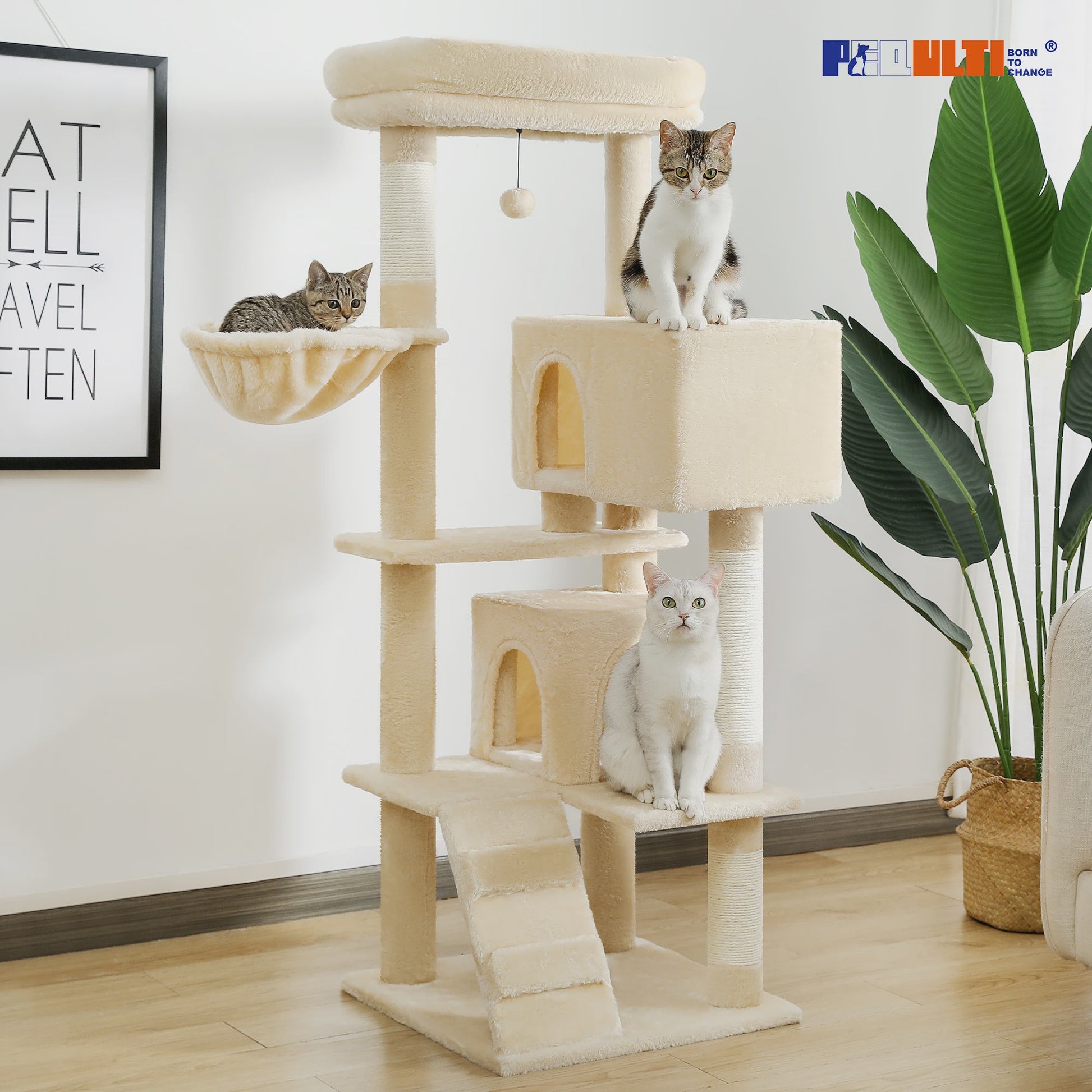 Luxe Kattenboom met Krabpalen, Hangmat en Knusse Condo - Grote Katten Toren