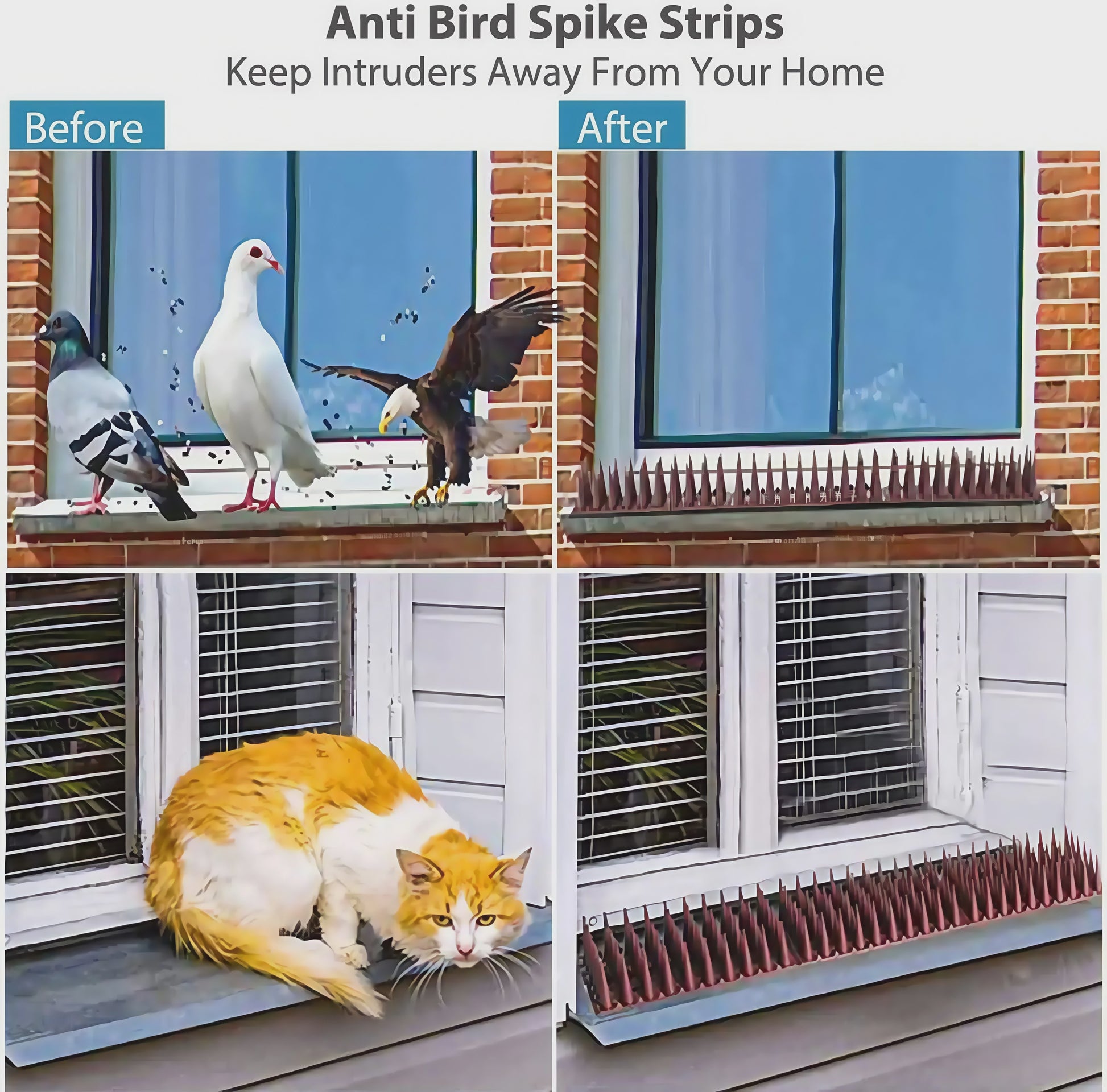 12x Humane Vogel- en Kattenwering - Plastic Prikkelstrips, Geen Stroom Nodig - 43cm per strip