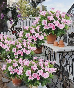 Zijden Balsam Kunstbloemen - Hoge Kwaliteit Decoratie voor Bruiloft, Tafel & Tuin