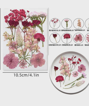 Set Gedroogde Bloemen & Bladeren (16-19 Stuks) - Natuurlijk & Realistisch