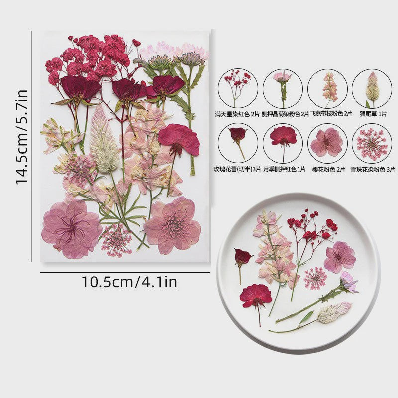 Set Gedroogde Bloemen & Bladeren (16-19 Stuks) - Natuurlijk & Realistisch
