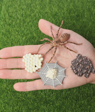 Montessori Levenscyclus Insecten Speelgoed: Spin, Duizendpoot, Schorpioen & Mier