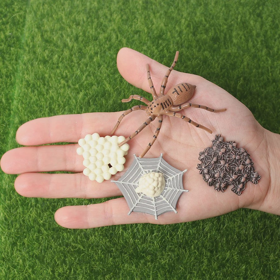 Montessori Levenscyclus Insecten Speelgoed: Spin, Duizendpoot, Schorpioen & Mier
