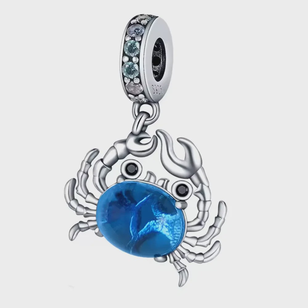 925 Sterling Zilver Oceaan Serie Bedel - DIY Armband Bedeltje voor Dames