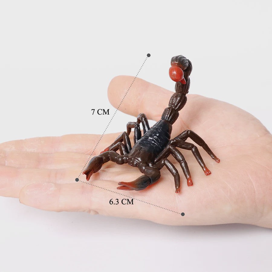 Realistische Insecten & Slakken Modellen - Educatief Speelgoed, Verzamelen & Decoratie