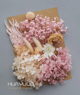 Set Gedroogde Bloemen & Hydrangea voor Ambacht & Decoratie