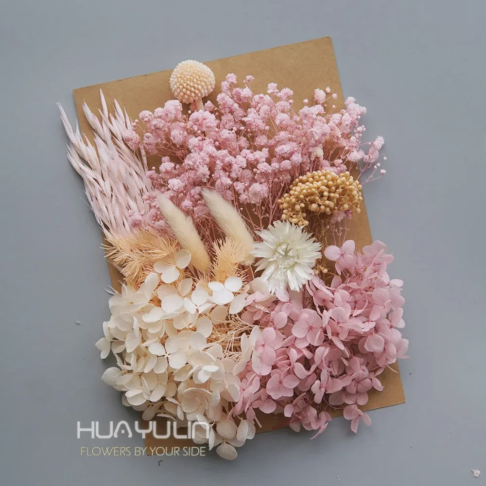 Set Gedroogde Bloemen & Hydrangea voor Ambacht & Decoratie