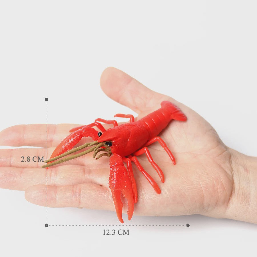 Educatieve Prehistorische Zeedieren Figuren Set: Baculite, Opabinia, Krab & Meer