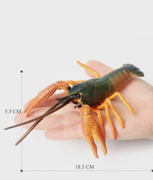 Educatieve Prehistorische Zeedieren Figuren Set: Baculite, Opabinia, Krab & Meer