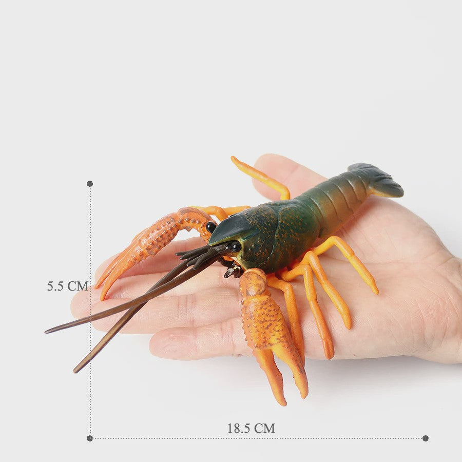 Educatieve Prehistorische Zeedieren Figuren Set: Baculite, Opabinia, Krab & Meer