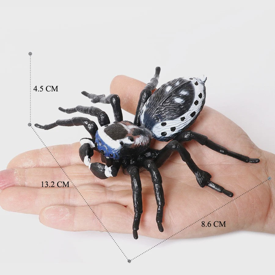 Montessori Levenscyclus Insecten Speelgoed: Spin, Duizendpoot, Schorpioen & Mier