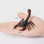 Montessori Levenscyclus Insecten Speelgoed: Spin, Duizendpoot, Schorpioen & Mier