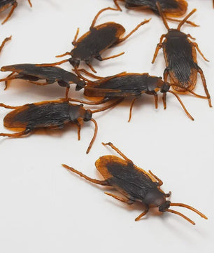 Nep Insecten Set: 50x Kakkerlakken, Duizendpoten & Schorpioenen - Griezelige Props voor Feestjes & Halloween