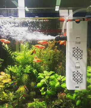 Stille Interne Aquarium Filterpomp met Luchtpomp & Oxygenator - 220V
