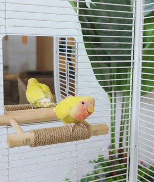 Vogel Speeltoren met Spiegel en Jute Touw - Klimmen, Kauwen & Pootverzorging voor Papegaaien