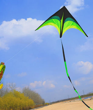 Grote Delta Vlieger - Professioneel Vliegeren in Lichte Wind