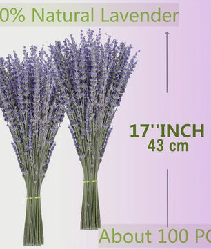Natuurlijke Gedroogde Lavendel & Eucalyptus Set - 147 Stuks Decoratie