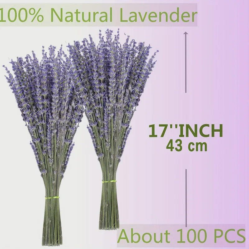 Natuurlijke Gedroogde Lavendel & Eucalyptus Set - 147 Stuks Decoratie