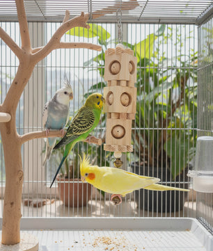 Kleurrijk Houten Papegaai Speelgoed - Verrijkende Knaagspeeltjes voor Vogels
