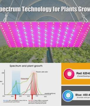 Full Spectrum LED Groeilamp voor Planten - Hydroponics & Binnenkweek