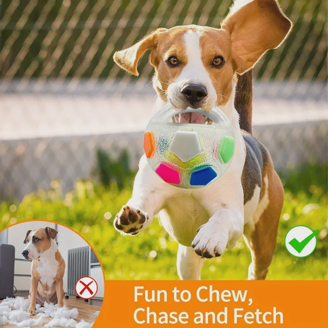 Honden Voetbal Speelgoed met Handvat - Piepend, Drijvend & Duurzaam voor Trekspelletjes