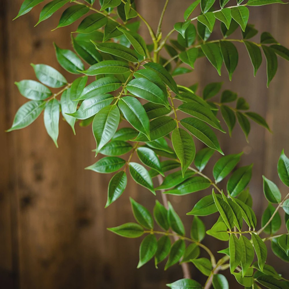 Grote Kunstplant Ficus Boom - 76-140cm - Realistische Kunst Banyan Plant met Groene Bladeren voor Huis en Tuin Decoratie