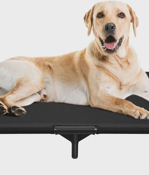 Verhoogd Hondenbed met Metalen Frame - Koel en Comfortabel voor Hond en Kat