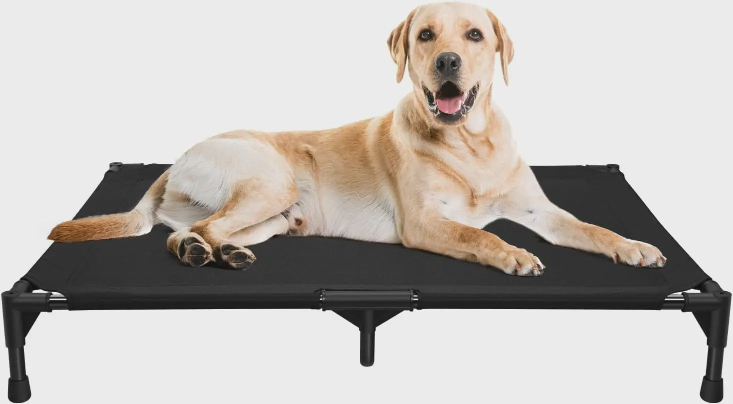 Verhoogd Hondenbed met Metalen Frame - Koel en Comfortabel voor Hond en Kat