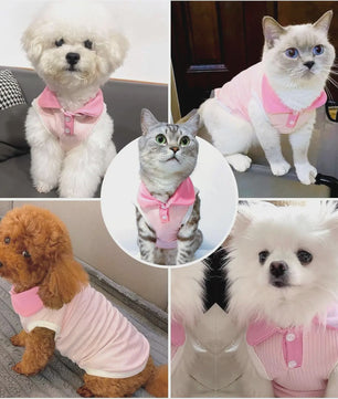 Ademend Hondenshirt met Bordeaux Kraag - Comfortabele Stretch Tanktop voor Kleine Honden