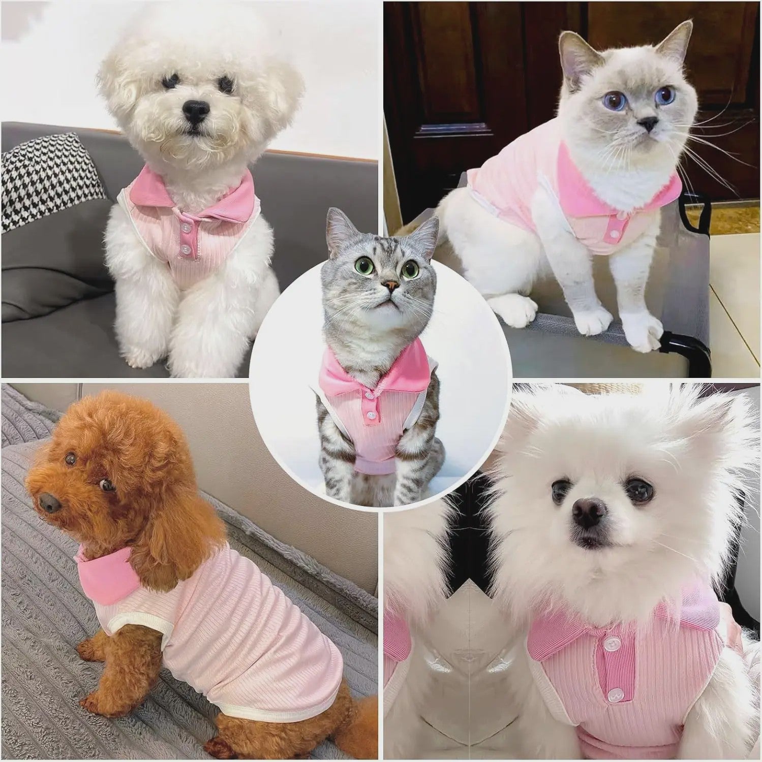 Ademend Hondenshirt met Bordeaux Kraag - Comfortabele Stretch Tanktop voor Kleine Honden