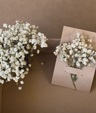 110 Stuks Gedroogde Baby's Breath (Gypsophila) - Boho Decoratie & Knutselmateriaal